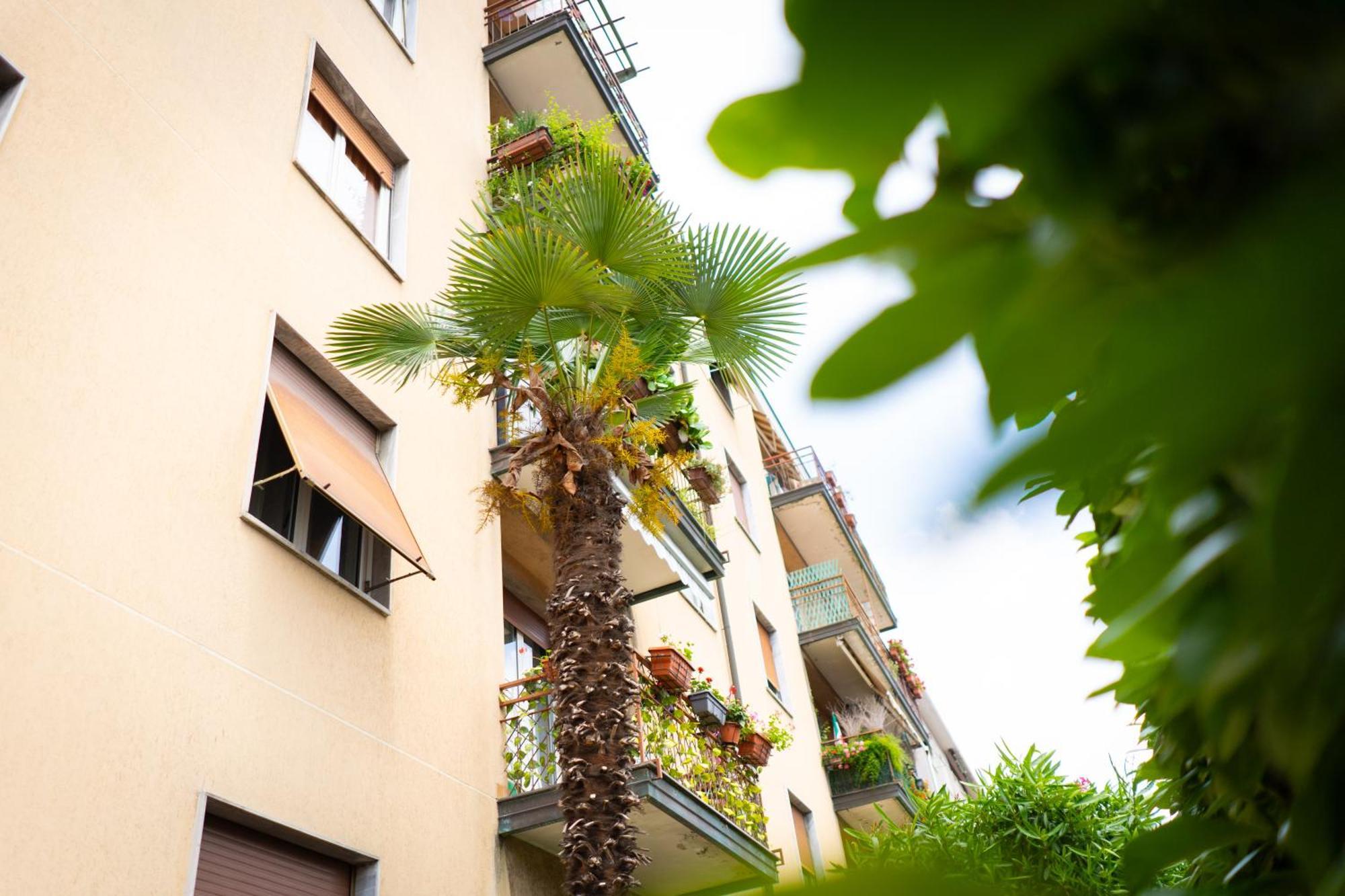 Como Lake Turati Residence מראה חיצוני תמונה